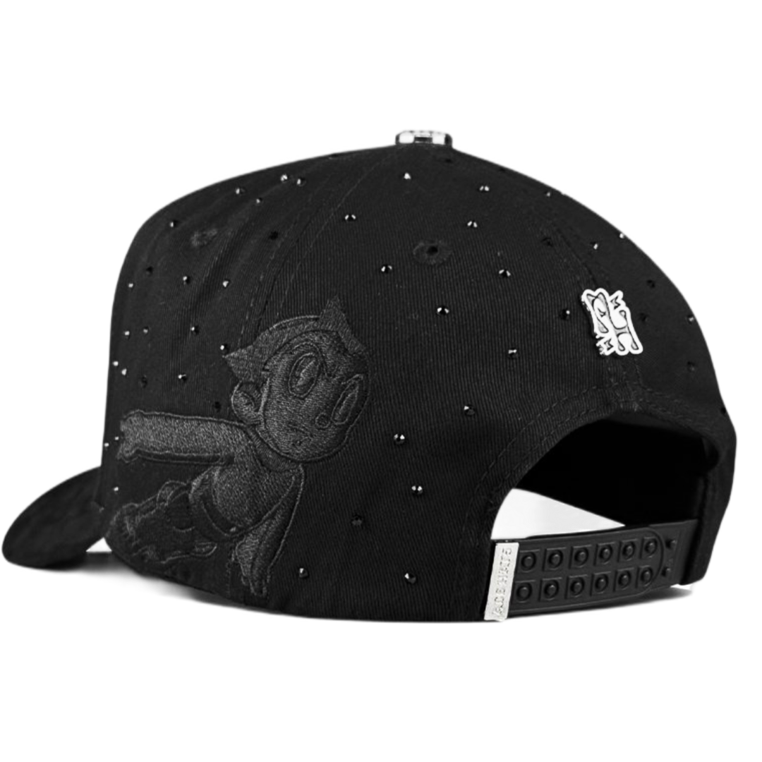 HOUSTON ASTROS